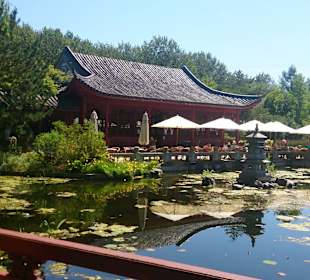 Chinesischer Garten