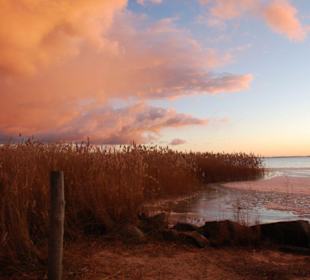 Abendstimmung am kleinen Hafen von Zempin