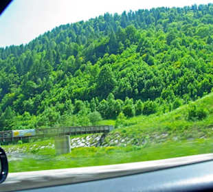 Plöckenpass 2010 die ganze Strecke