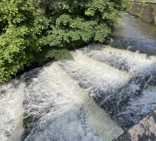 Wandern Bad Bertrich