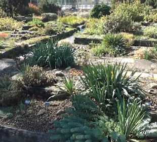 Steingarten - Berggarten