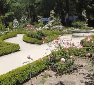 Real Jardín Botánico de Madrid