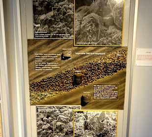 Exponate des Museums