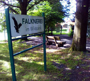 Der neue Wildpark in Bad Marienberg