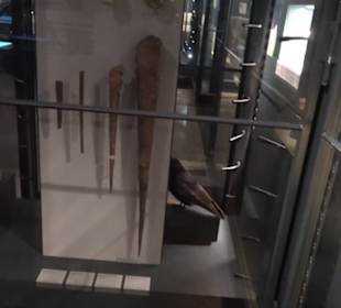 Museum für Naturkunde