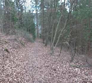 Unterjesinger Wengertwegle