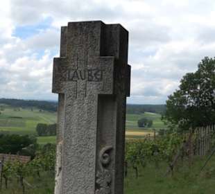 Wanderweg - Alter Steinbruch Pfaffenberg Runde