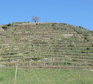 Wandern in Baden-Baden und Umgebung