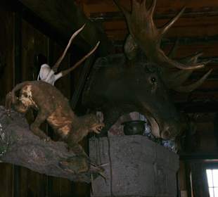 Raubritterburg Thurant