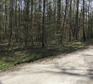 Sport- und Freizeitpark Markwasen