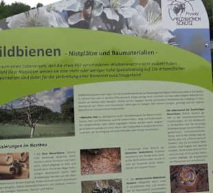 Naturinfopfad Weggental