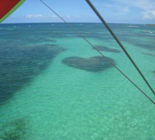 Flug entlang dem Bavaro Strand