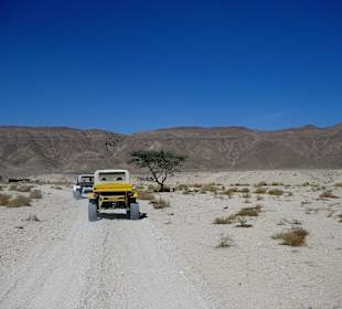 Die Buggys und der tolle Ausblick 360 Crad