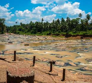 Elefantenwaisenhaus Pinnawela