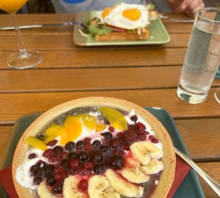 Gastro