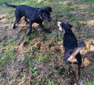 Wandern Mitterfirmiansreut