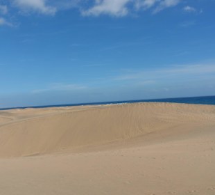 Wydmy z widokiem na ocean