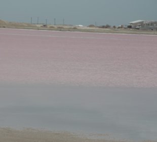 Meersalzgewinnungsstätte Las Coloradas