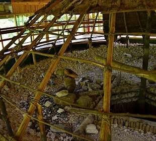 Rekonstrukcja kopalni