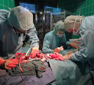 Abteilung "Reise in den menschlichen Körper"