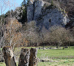 Blick auf den "Hohlen Felsen"
