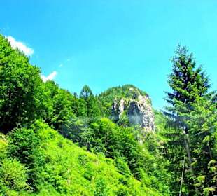 Plöckenpass 2010 die ganze Strecke