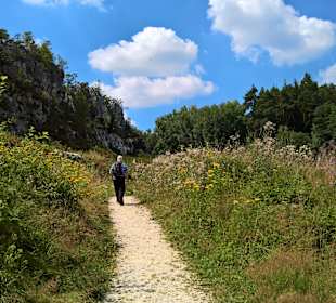 Naturschutzgebiet Großer Pfahl