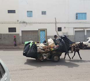 Stadtrundfahrt Agadir
