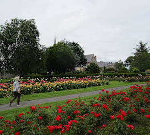 Tralee Town Park