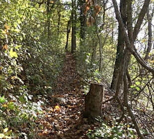Wandertour "Rund um den Rossberg" Öschingen
