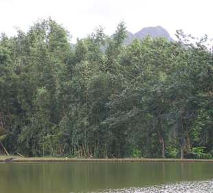 Naturpark nördlich von Mahebourg