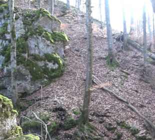Wolfsschlucht