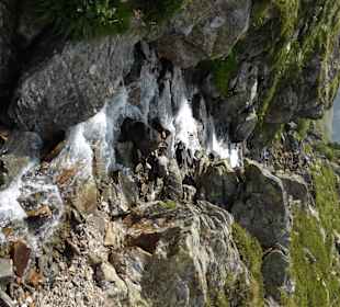 Natur pur