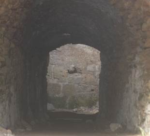 Arena