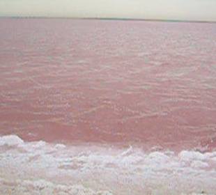 Solné jezero na Djerbě