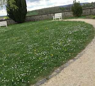 Schloss ob Ellwangen