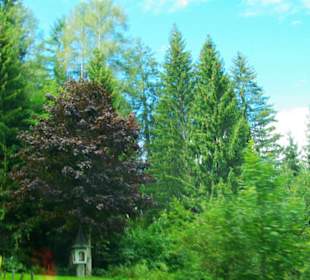 Die erste Steigung Plöcken