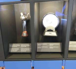 FIFA World Football Museum