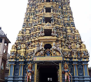 Hochland von Sri Lanka