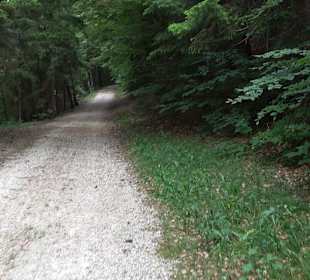 Waldlehrpfad in Tieringen