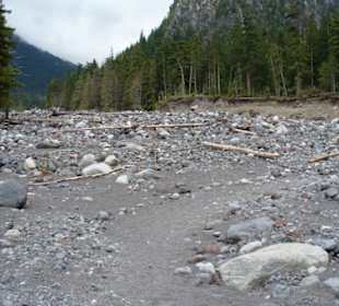 Flussbett im Sommer