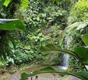 Nord-Martinique Wasserfall