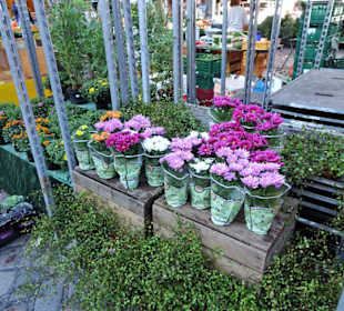 Eindrücke vom Wochenmarkt Südermarkt