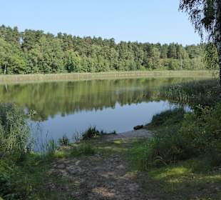 Der Beetzer See direkt am Hotel & Spa Sommerfeld