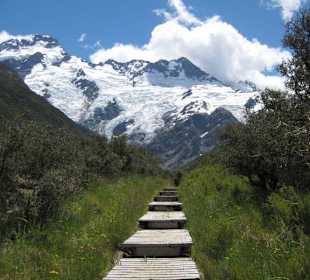 Mt. Cook