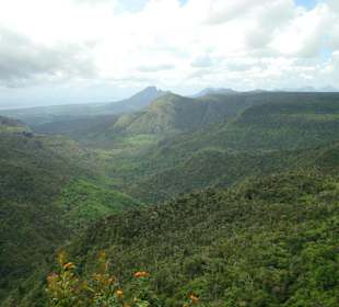 Black River Gorges Nationalpark