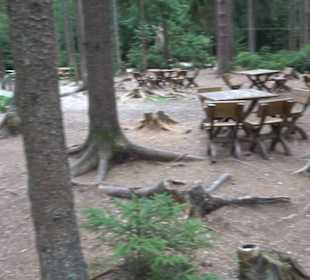 Dinosaurier Museum Altmühltal