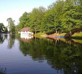 Felsenweg am Bärenloch in Kindsbach