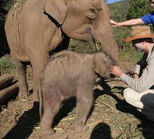 Die kleine, erst ein paar Stunden alt
