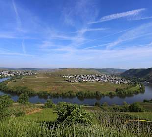 Berühmte Trittenheimer Moselschleife